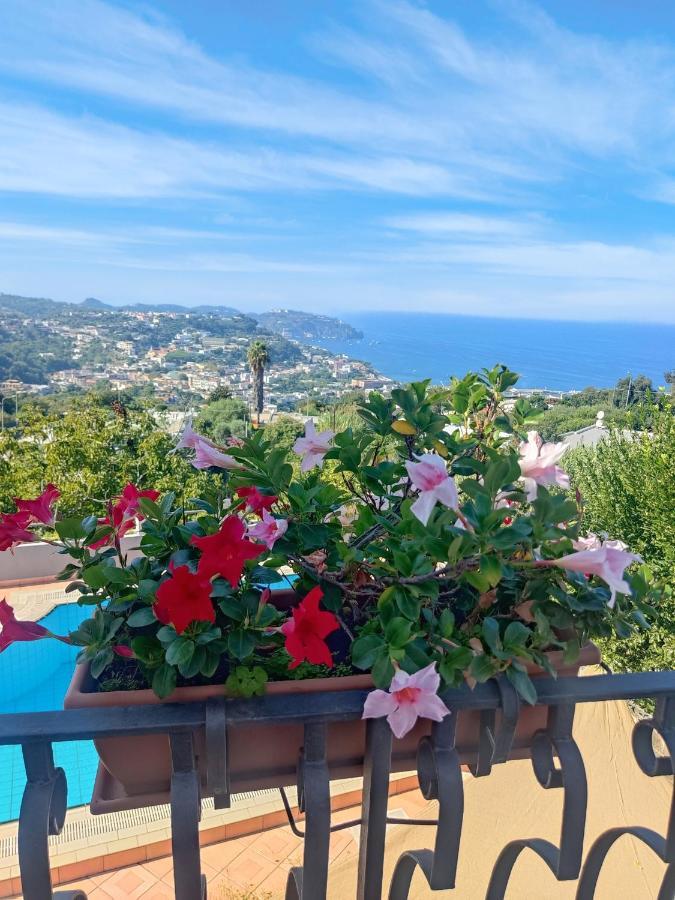 Hotel Ape Regina Casamicciola Terme Екстер'єр фото