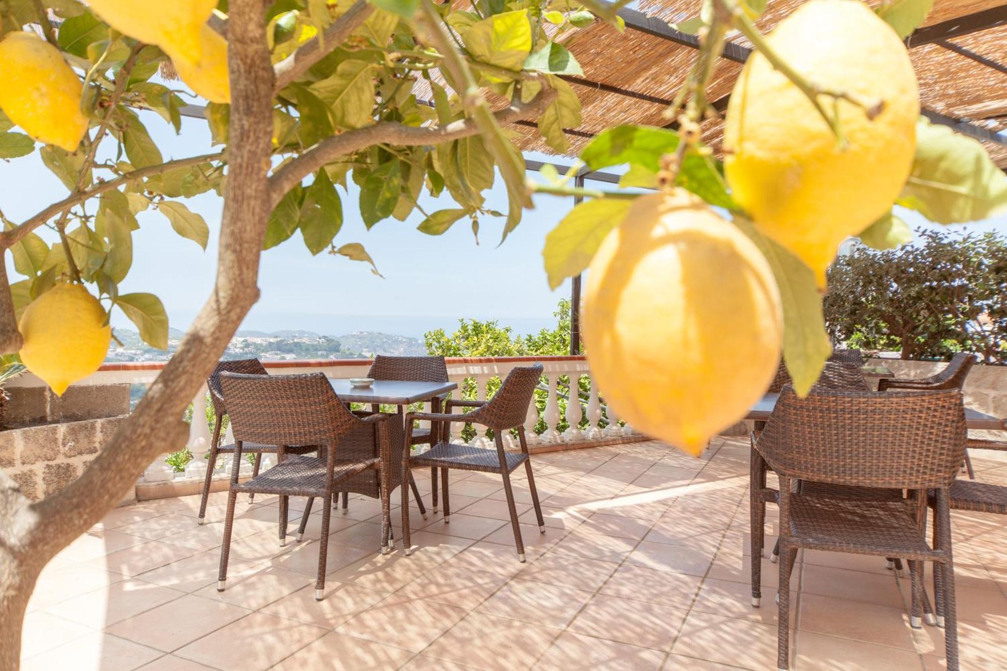 Hotel Ape Regina Casamicciola Terme Екстер'єр фото